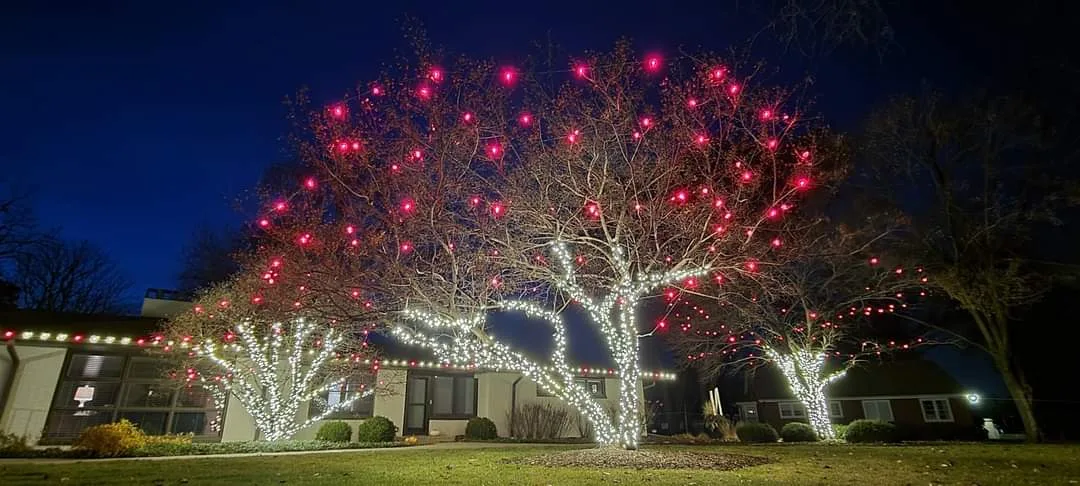Red-bulb tree and white-wrapped trunks beside a ranch roofline lit by Bee Merry