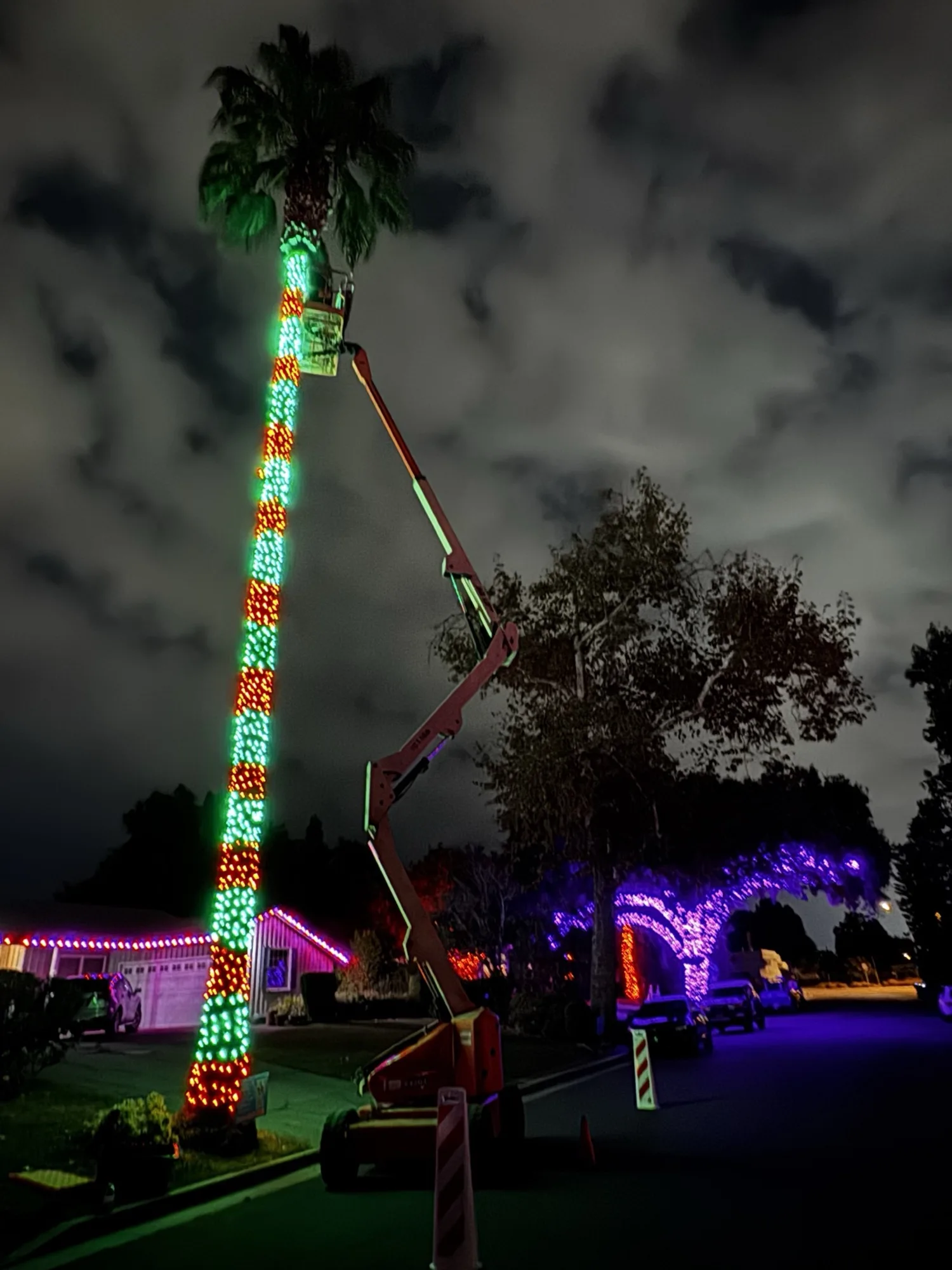 Bee Merry technician on a boom lift wrapping a tall palm at night