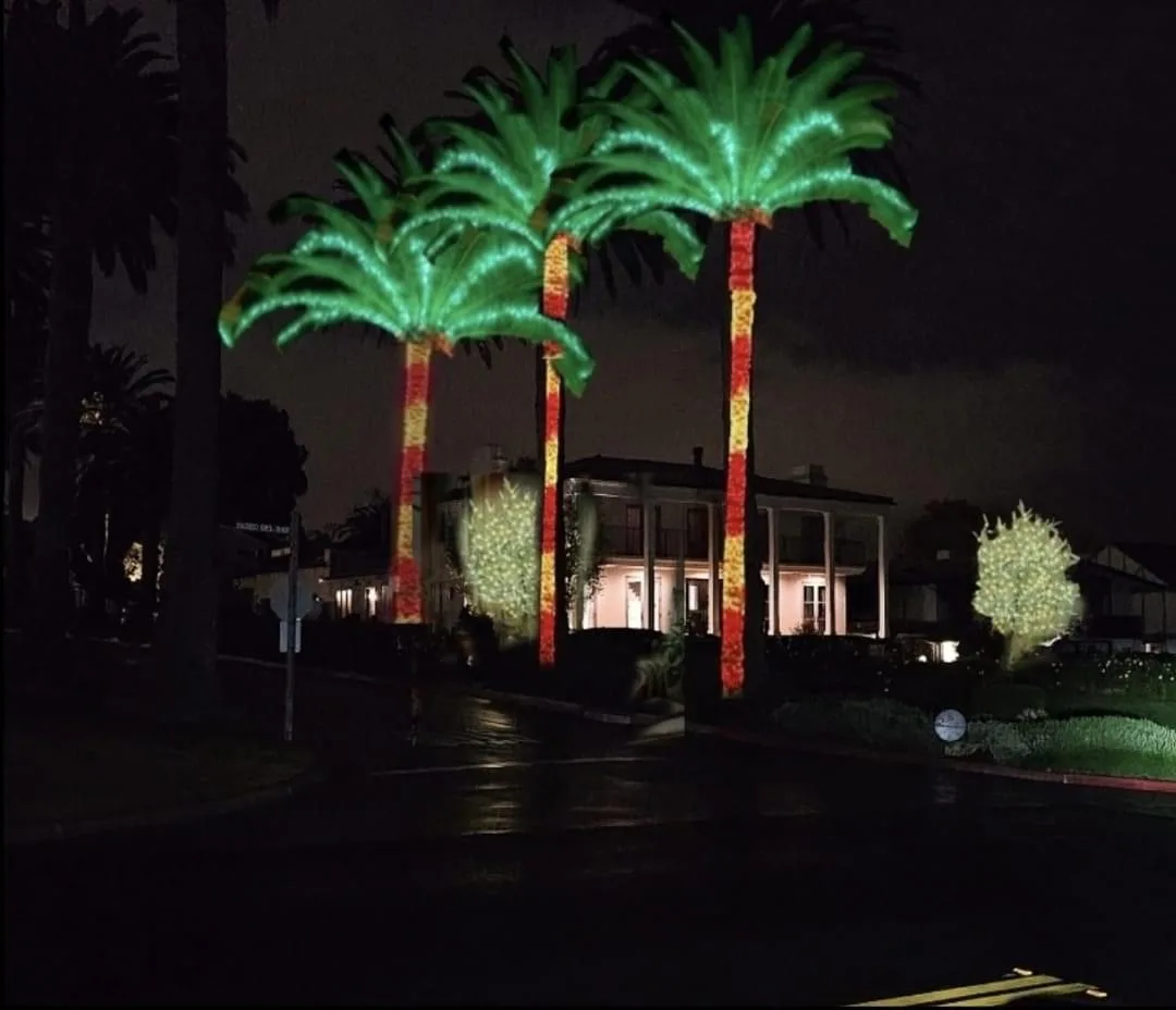 Palm trees wrapped in red and green Christmas lights by Bee Merry in the Conejo Valley